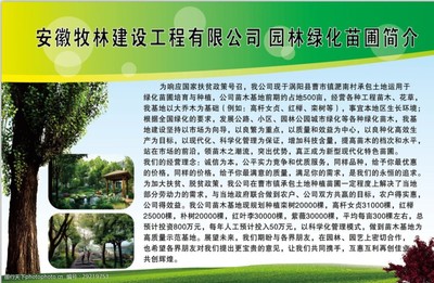 匠心苗圃 綠動(dòng)未來——園林綠化苗圃培育與銷售簡(jiǎn)介